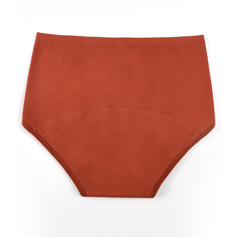 Женские бесшовные трусики для  – обзор и цена Period Panty Absorbent
