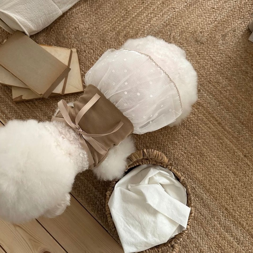 Весенне-летнее кружевное плать – обзор и цена Lace Teddy Lingerie